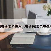 pg电子怎么接入（电子pg怎么填密码）