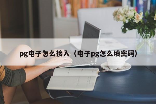 pg电子怎么接入(电子pg怎么填密码)