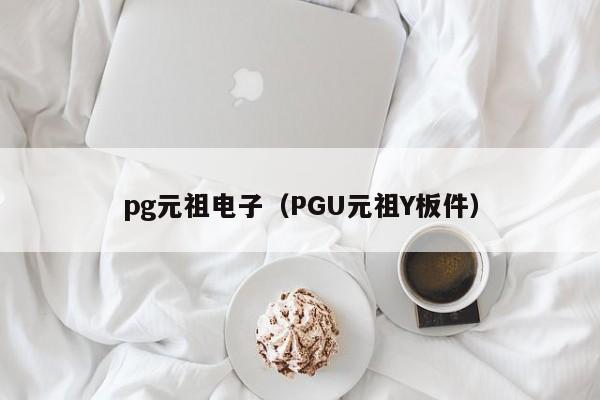 pg元祖电子(PGU元祖Y板件)