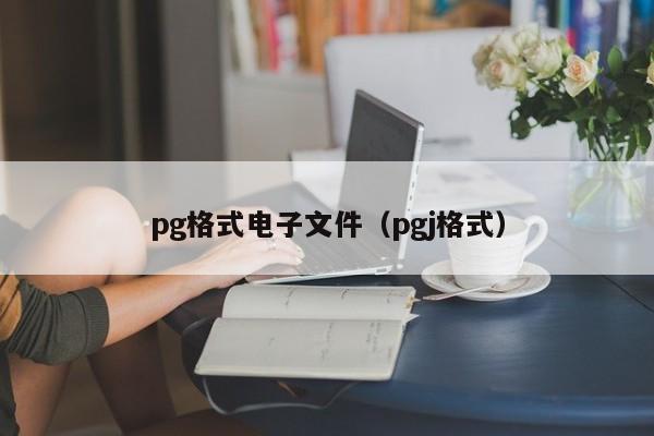 pg格式电子文件(pgj格式)